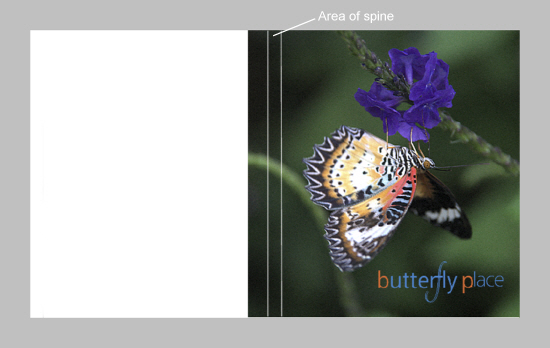 Cover Example