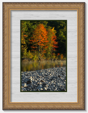 double-matted photo
