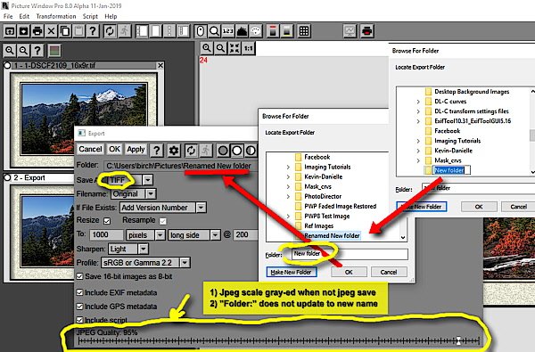 Export New Folder.jpg