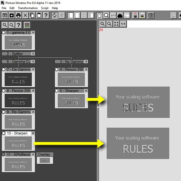 Rules v1 600px-1.jpg