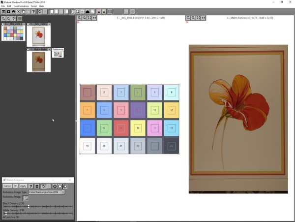 Screen shot of print source and reference image / transform.
