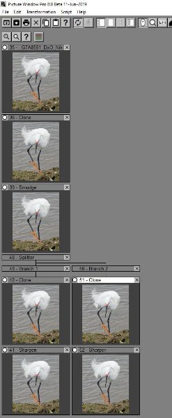 CloneToolOnClonedSideBranch2a-1.jpg