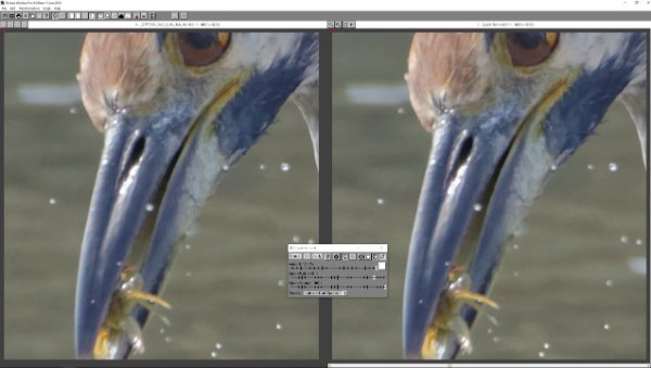 Missing Speck Removal Tool.jpg