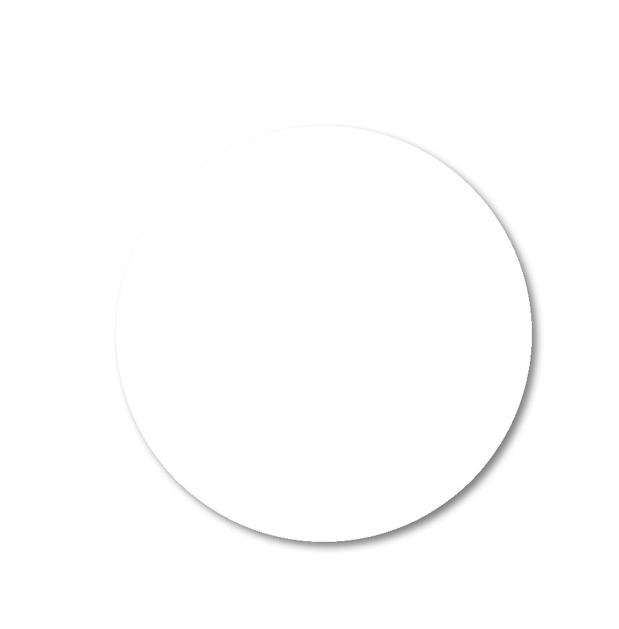 DSCircle.jpg