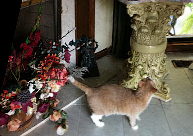 IMG_0319-1-1-1-1.JPG