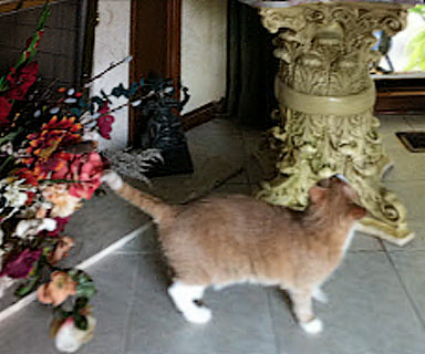 IMG_0319-1-1-1-1-1.jpg
