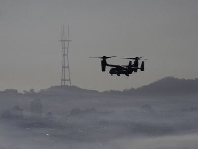 SF_Osprey-1.JPG