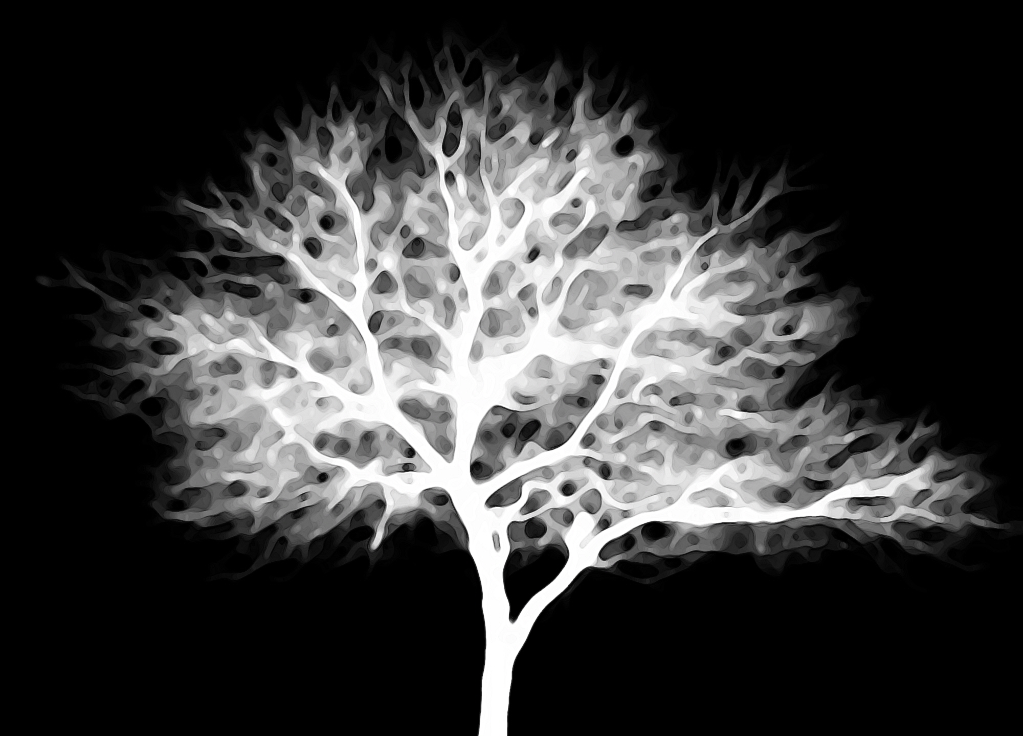tree-mask-crop.jpg