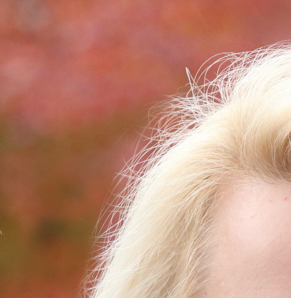 retouch foliage hair help.jpg