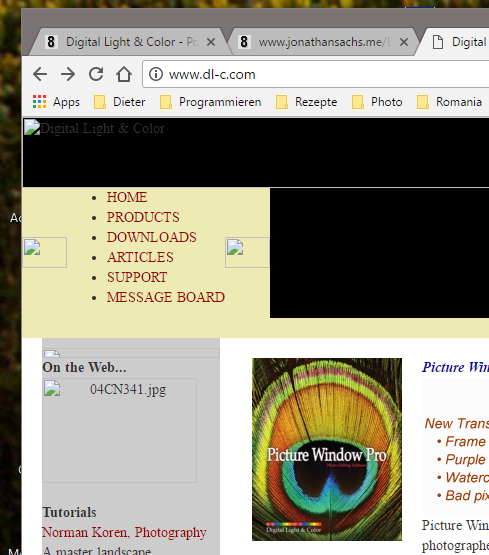 Website.png