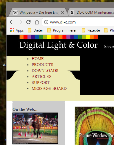 Website2.png