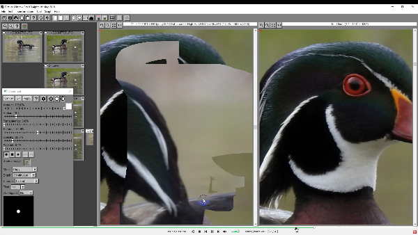 cloning_zoom_issues.jpg
